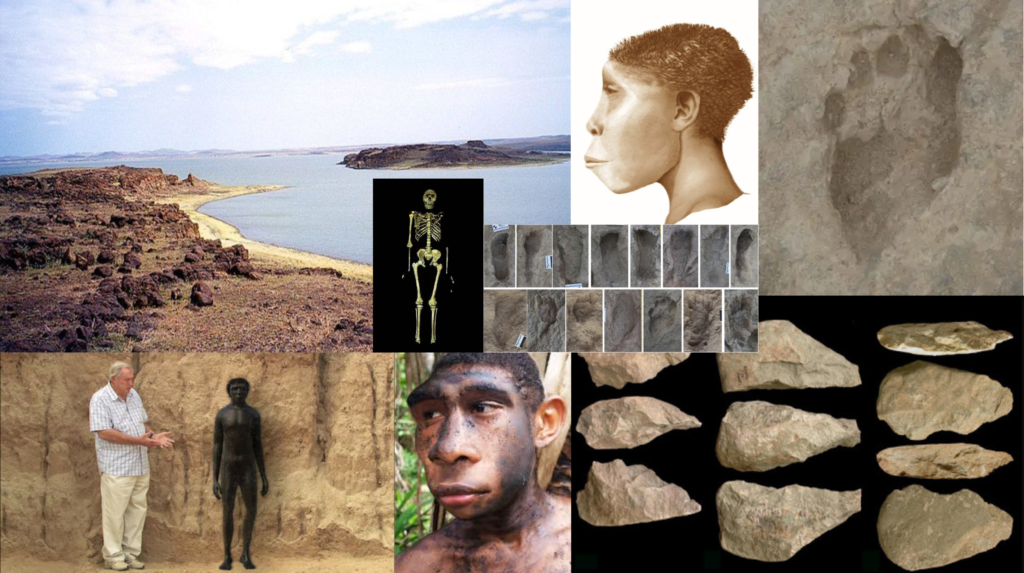Lake Turkana, the Turkana Boy fossil skeleton, Turkana Boy models, stone tools, Homo Erectus footprints, and palaeoanthropologist Richard Leakey.