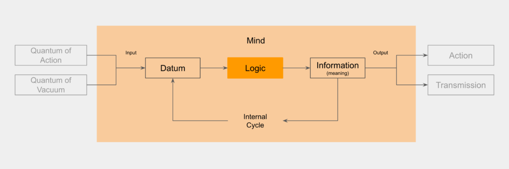 Information cycle in the mind.