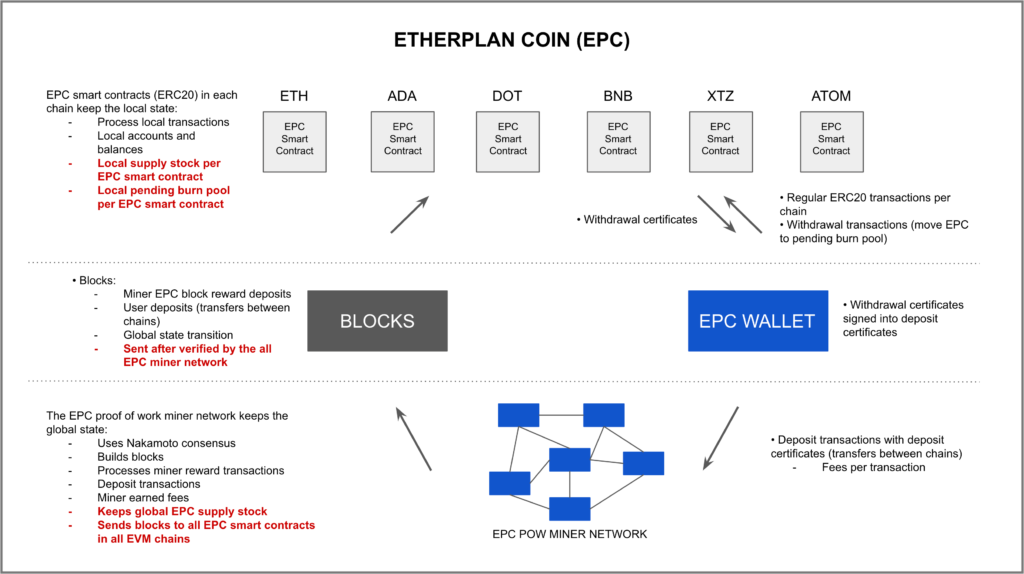 Diagram of the Etherplan Coin (EPC) model.