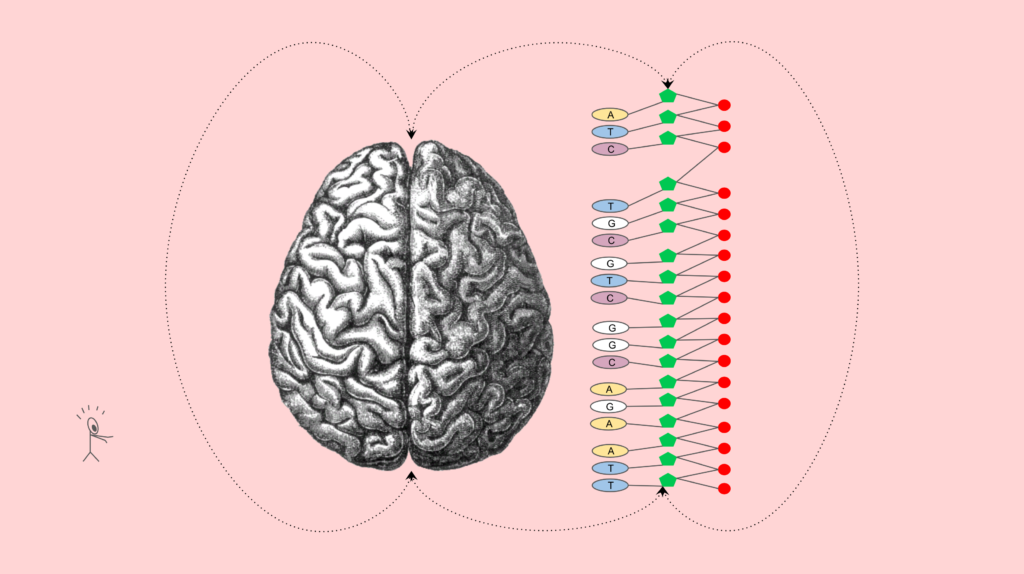 Genes, the brain, and the individual.