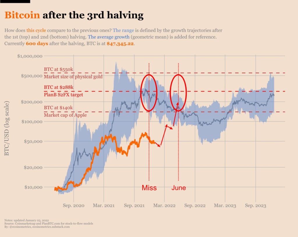 Bitcoin bull market cycles by Ecoinometrics.